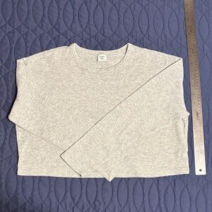 Aritzia Sunday Best Women’s Light grey Crop Long Sleeve Top.